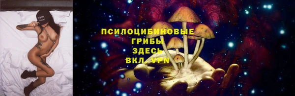 mix Лабытнанги
