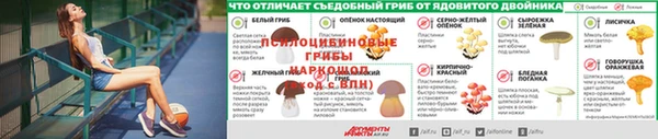 a pvp Лагань