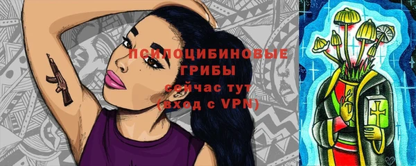 mix Лабытнанги