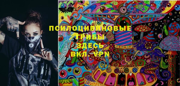 mix Лабытнанги