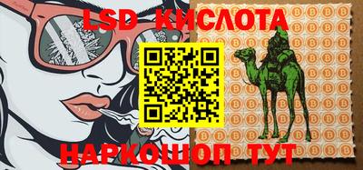 скорость Гатчина