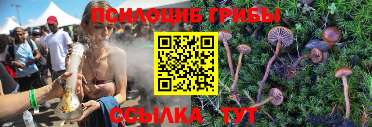 Псилоцибиновые грибы Psilocybe  Вход с VPN  Нижневартовск 