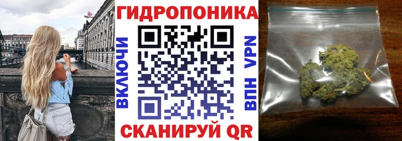 закладки  Нижневартовск  Конопля индика 
